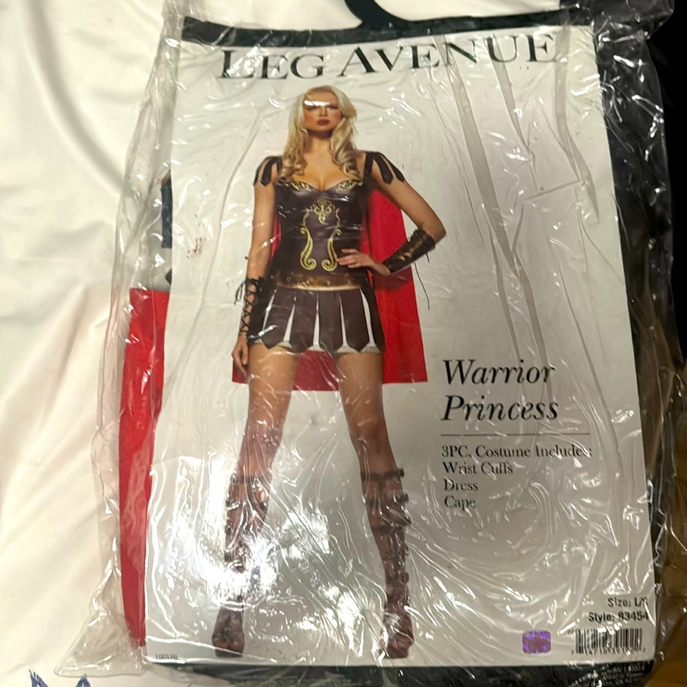 Warrior Princess Costume